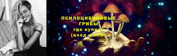 стаф Мегион