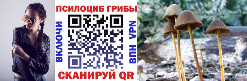 Галлюциногенные грибы мухоморы  Йошкар-Ола 